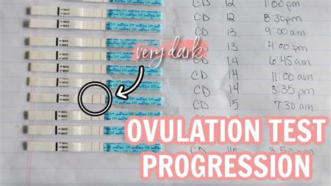 ovulation test strip progression|what does an ovulation strip look like.